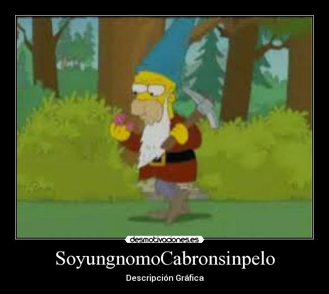 SoyungnomoCabronsinpelo - Descripción Gráfica