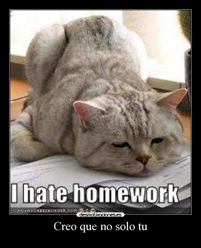 Creo que no solo tu -