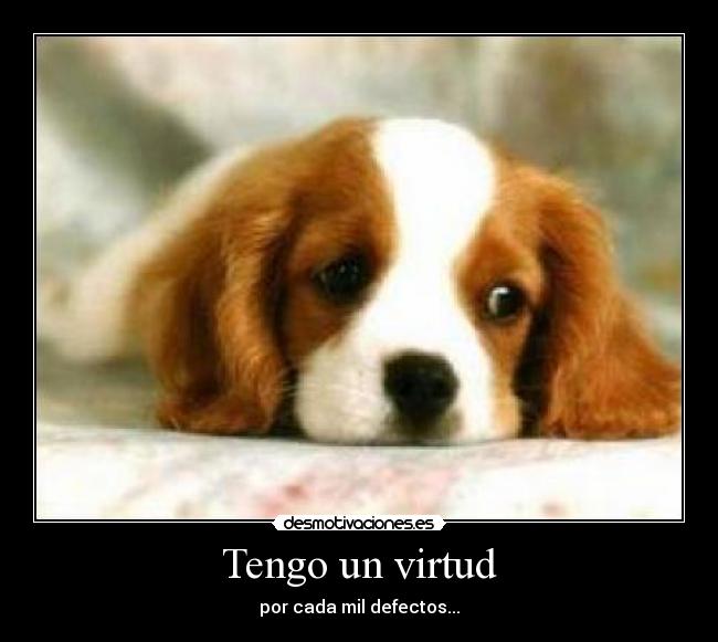 Tengo un virtud - 