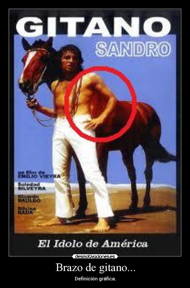 carteles gitano desmotivaciones