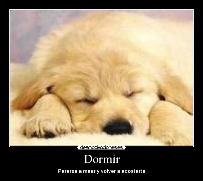 Dormir -