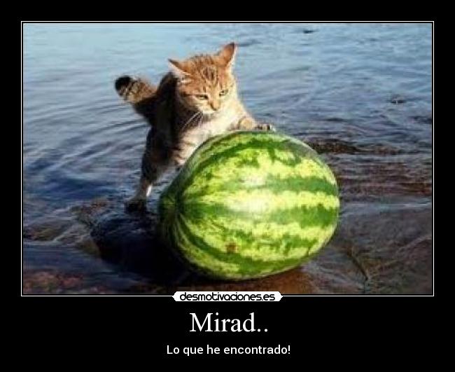 Mirad.. - Lo que he encontrado!