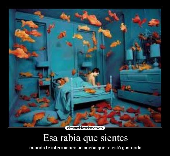 Esa rabia que sientes - 