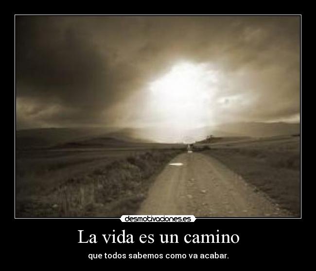 La vida es un camino -