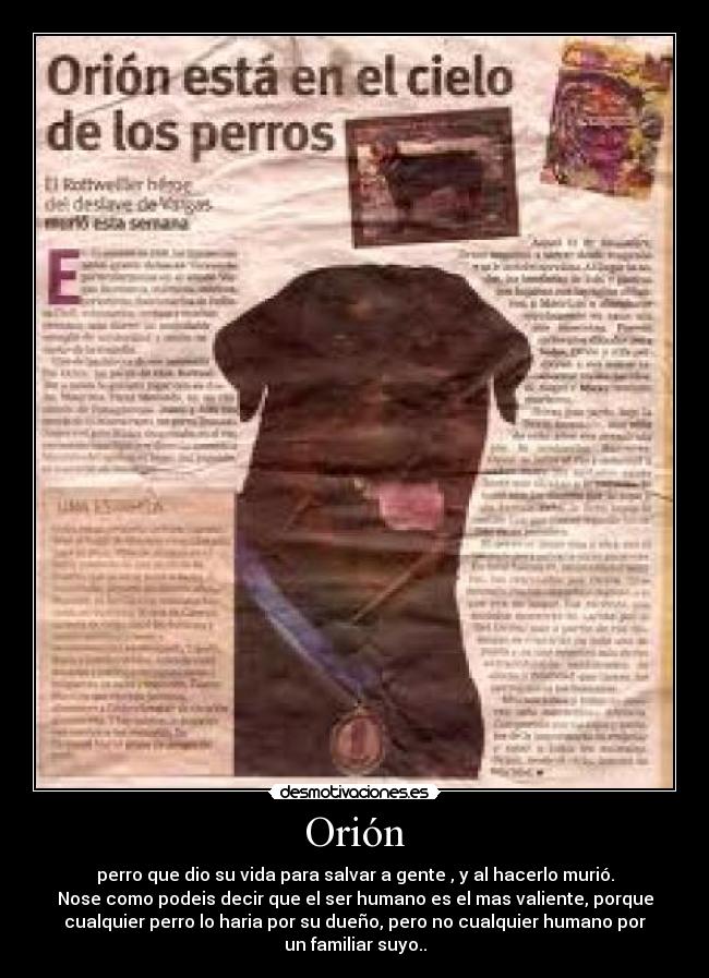 carteles walt_k desmotivaciones