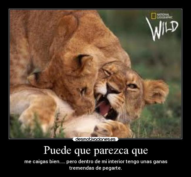 Puede que parezca que - me caigas bien..... pero dentro de mi interior tengo unas ganas tremendas de pegarte.