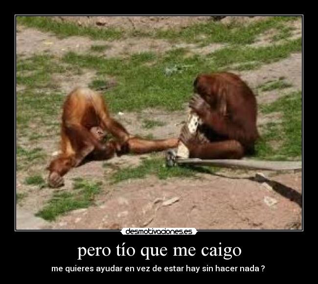 pero tío que me caigo - me quieres ayudar en vez de estar hay sin hacer nada ?