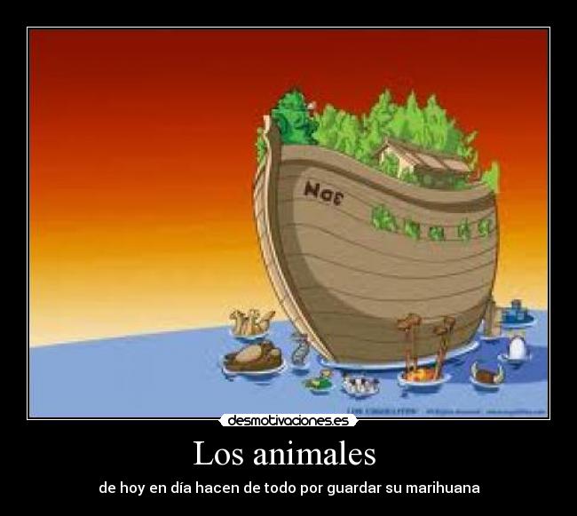 carteles animales los animales desmotivaciones