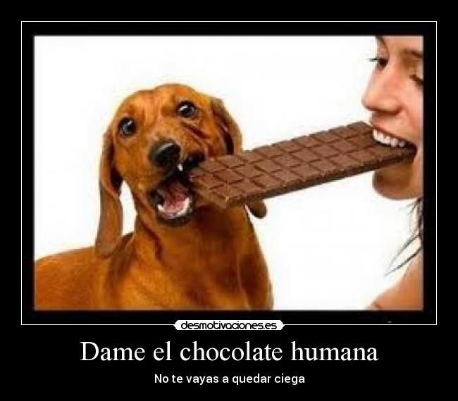 Dame el chocolate humana - 