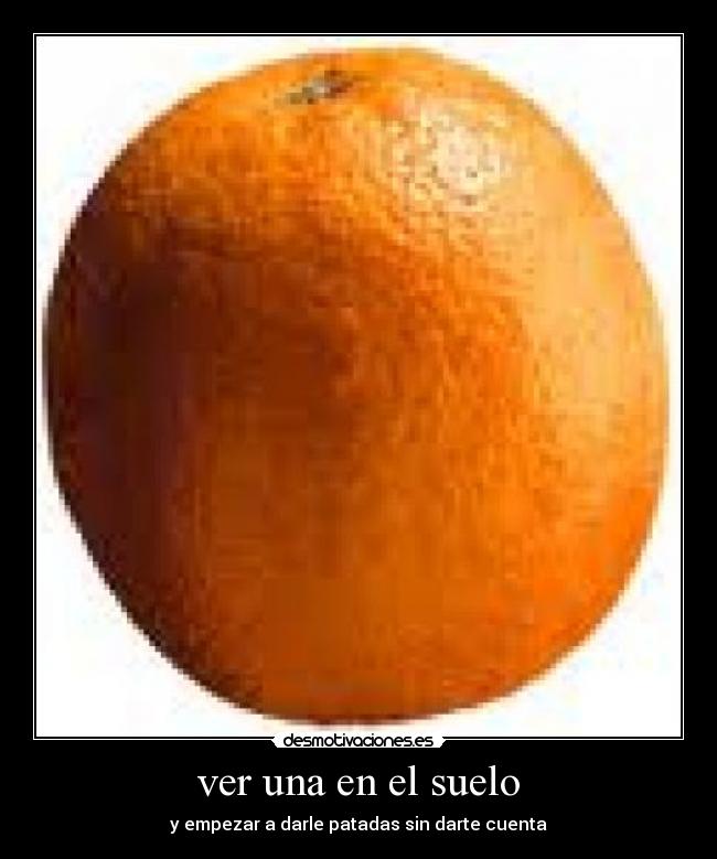 ver una en el suelo -