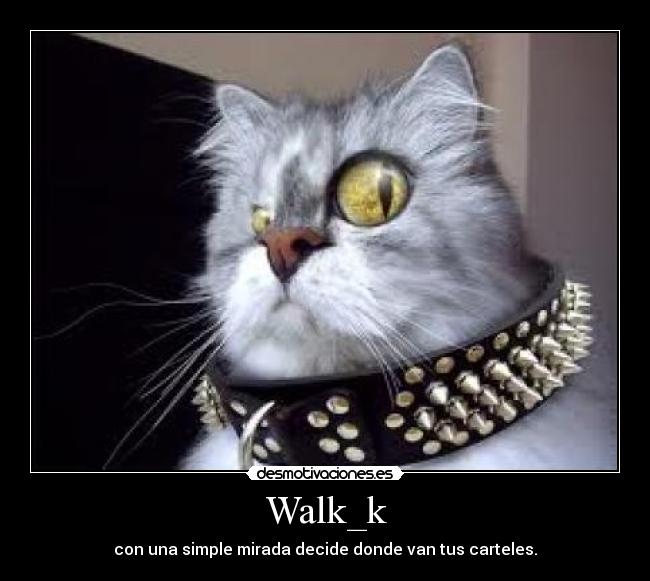 Walk_k -