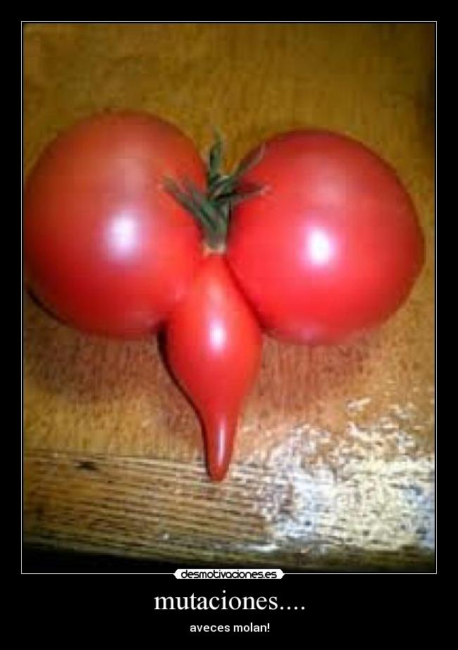 mutaciones.... - aveces molan!
