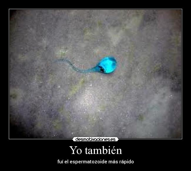 Yo también - 