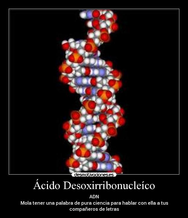 Ácido Desoxirribonucleíco - ADN
Mola tener una palabra de pura ciencia para hablar con ella a tus
compañeros de letras