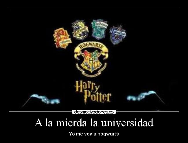 A la mierda la universidad - Yo me voy a hogwarts