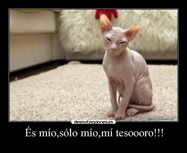 És mío,sólo mío,mí tesoooro!!! -