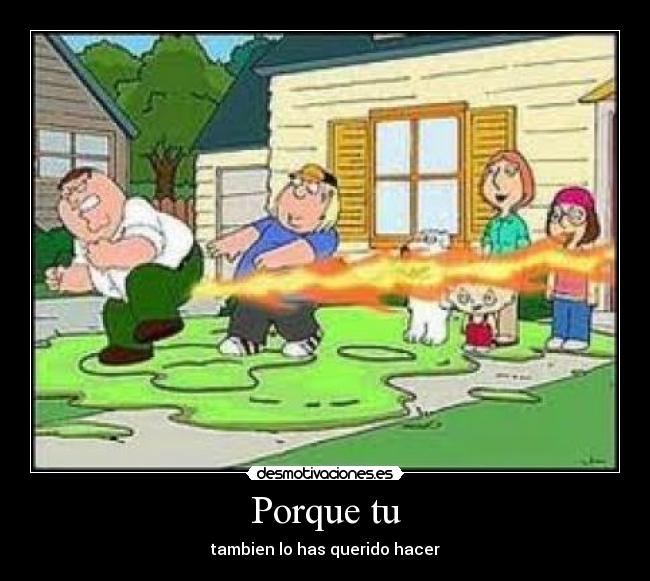 Porque tu - tambien lo has querido hacer