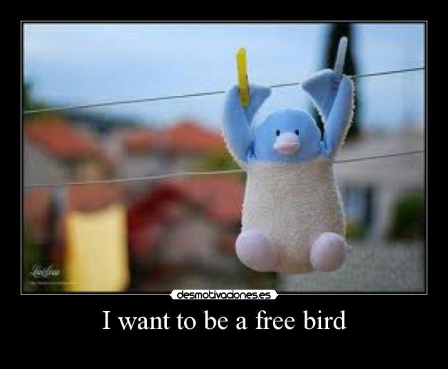 I want to be a free bird - 