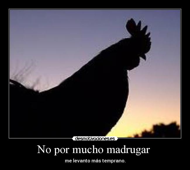 No por mucho madrugar  - 