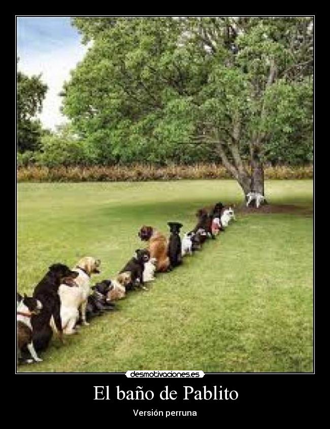 El baño de Pablito -
