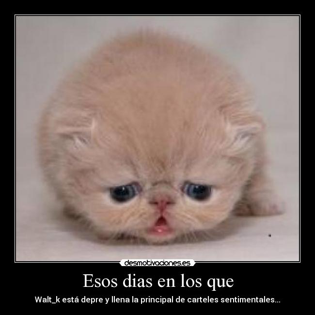 Imagenes Tiernas Y Sentimentales | im 225 genes y carteles de sentimentales pag 3 desmotivaciones Imagenes Tiernas Y Sentimentales | im 225 genes y carteles de sentimentales pag 3 desmotivaciones