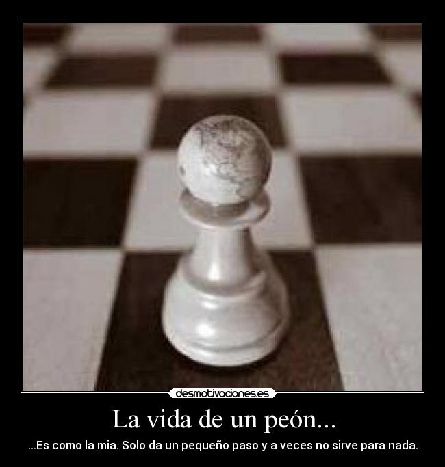 La vida de un peón... - 