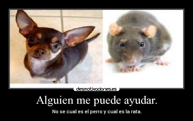 Alguien me puede ayudar. - 