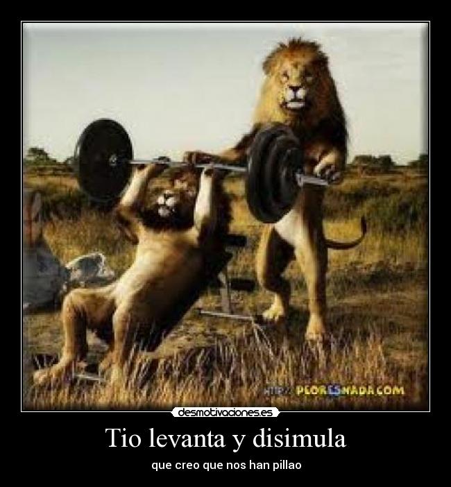 Tio levanta y disimula - que creo que nos han pillao
