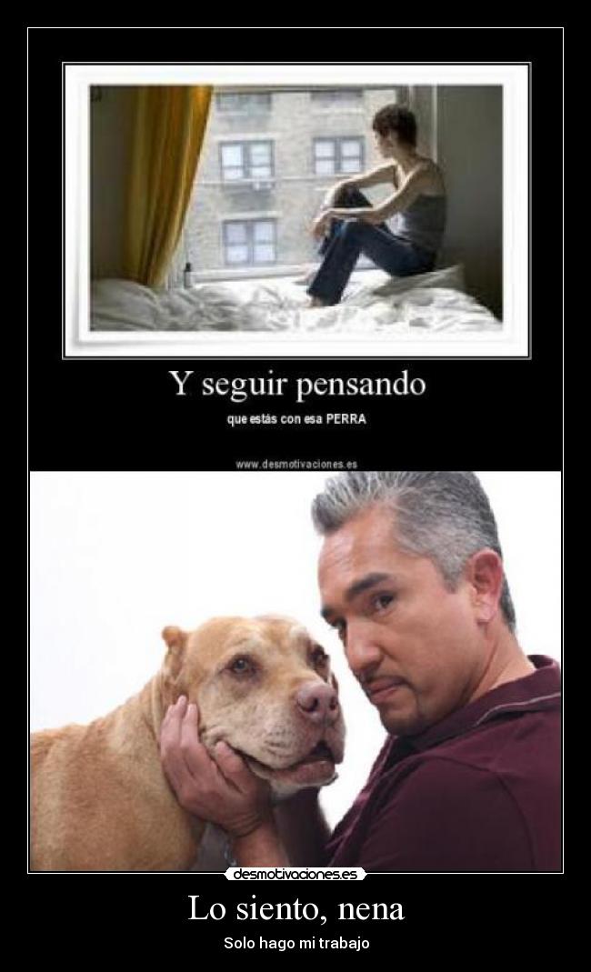 carteles siento nena cesar millan desmotivaciones