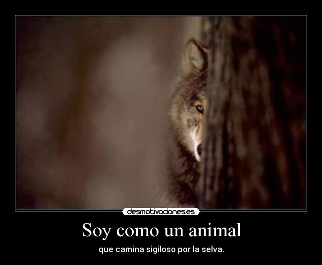 Soy como un animal - que camina sigiloso por la selva.
