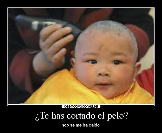 ¿Te has cortado el pelo? - 