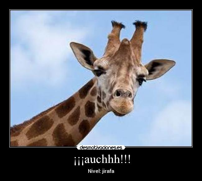 carteles mai desmotivaciones