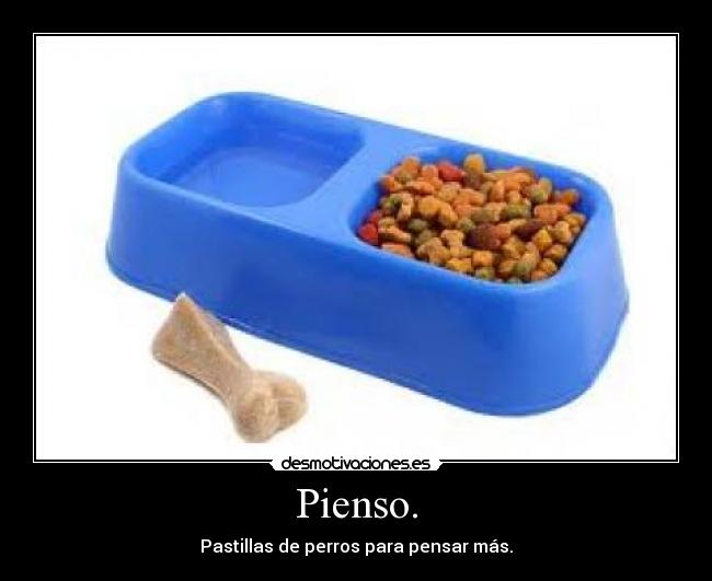 Pienso. - Pastillas de perros para pensar más.
