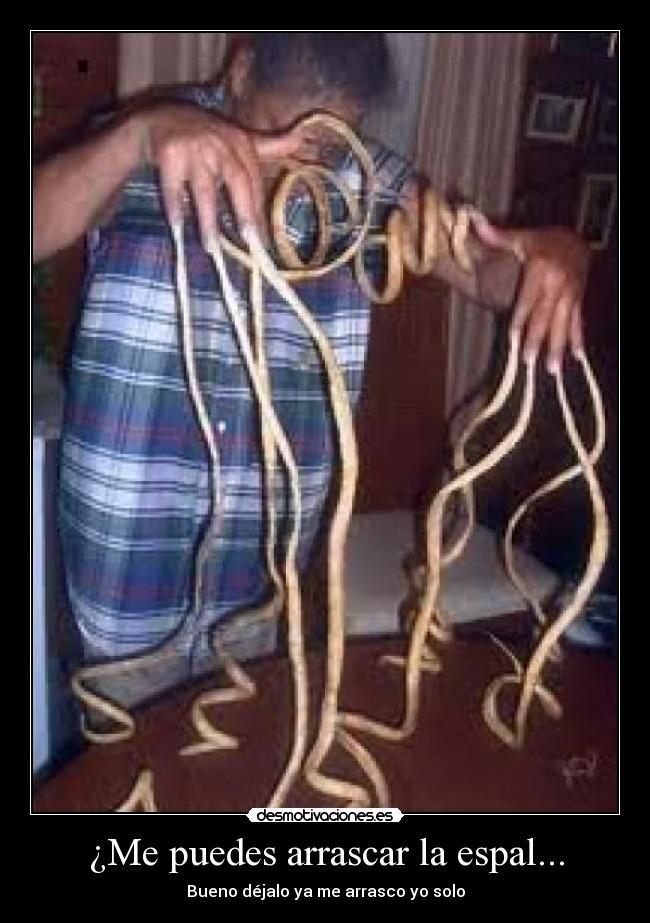 carteles propia desmotivaciones