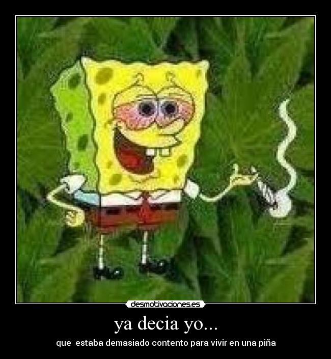 ya decia yo... - que estaba demasiado contento para vivir en una piña