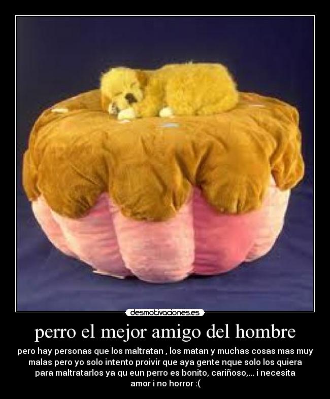 perro el mejor amigo del hombre - 