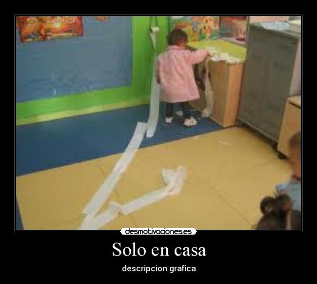 Solo en casa - descripcion grafica