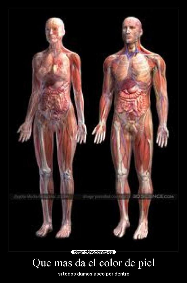 Que mas da el color de piel - si todos damos asco por dentro