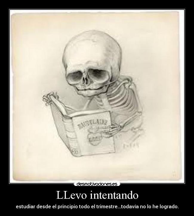LLevo intentando - estudiar desde el principio todo el trimestre...todavía no lo he logrado.