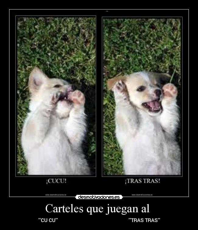 Carteles que juegan al  - 