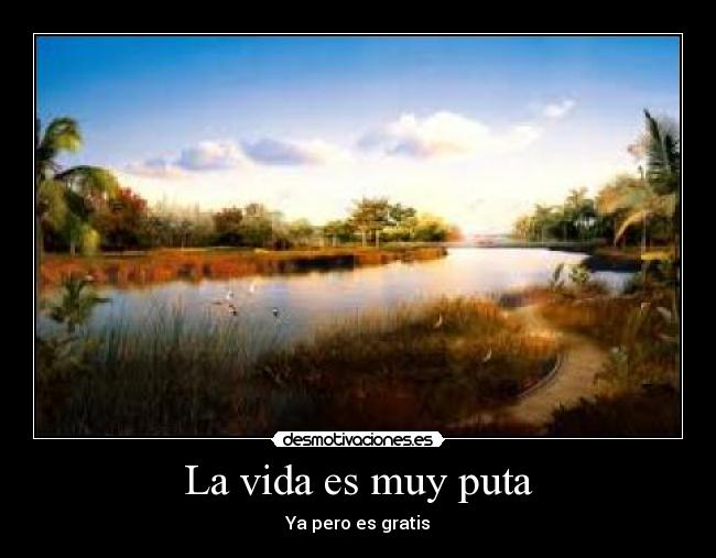 La vida es muy puta -