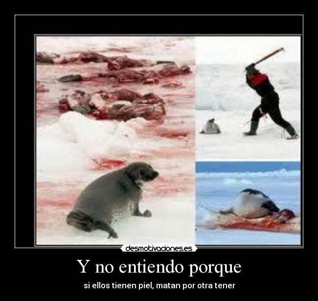 Y no entiendo porque - si ellos tienen piel, matan por otra tener