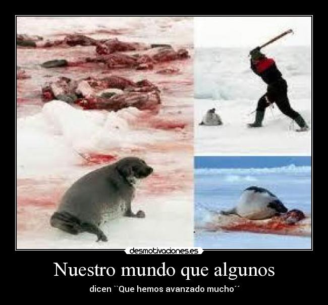 Nuestro mundo que algunos - dicen ``Que hemos avanzado mucho´´