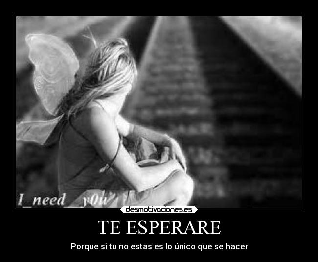 TE ESPERARE - Porque si tu no estas es lo único que se hacer