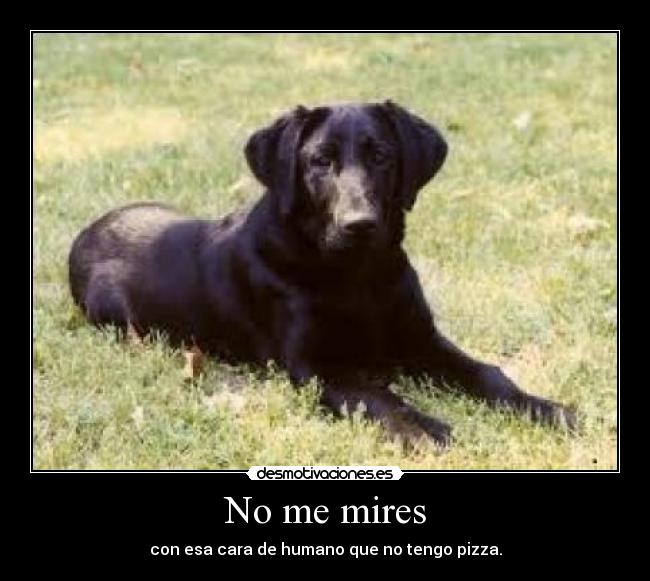 No me mires -