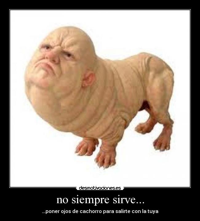 no siempre sirve... -