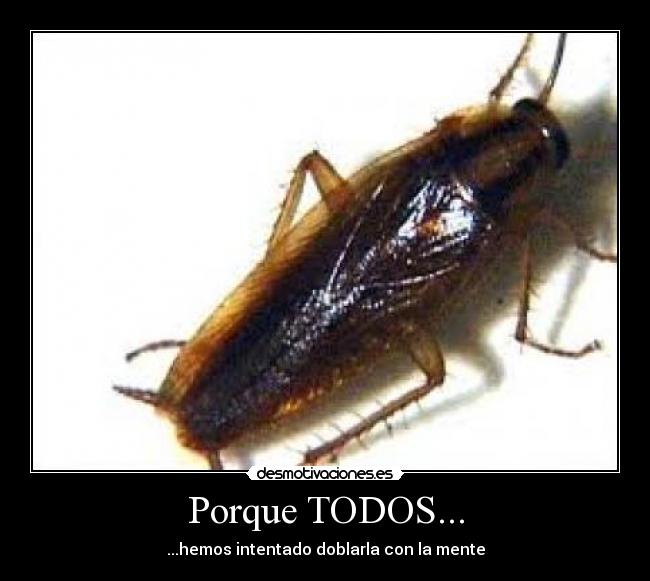 Porque TODOS... - ...hemos intentado doblarla con la mente