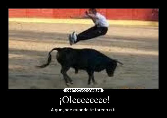 ¡Oleeeeeeee! - 