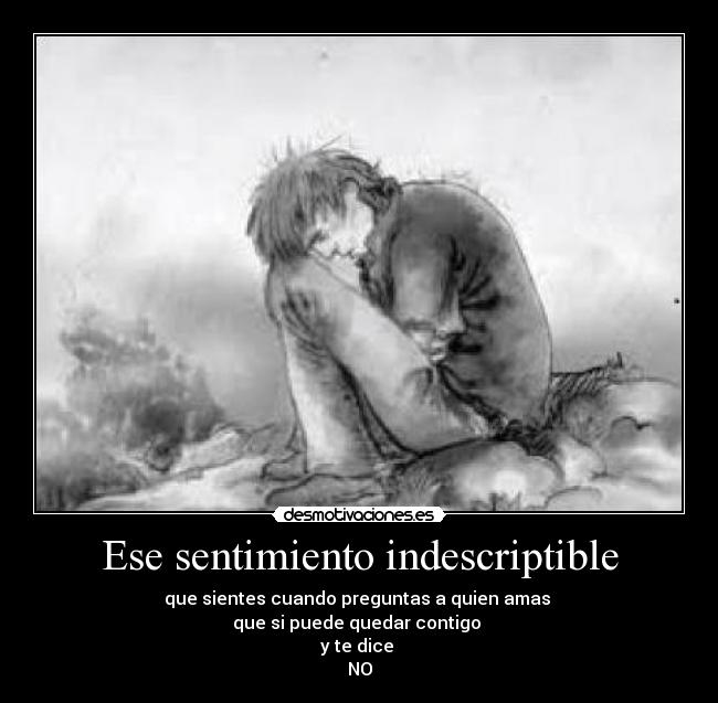 Ese sentimiento indescriptible - 