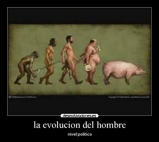 la evolucion del hombre -